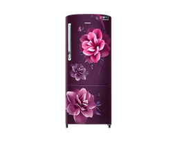 230L Stylish Grandé Design Single Door Refrigerator RR24A272YCR